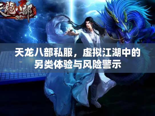 天龙八部私服，虚拟江湖中的另类体验与风险警示
