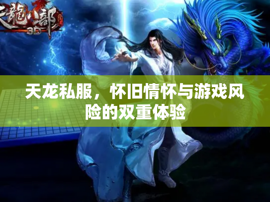 天龙私服，怀旧情怀与游戏风险的双重体验