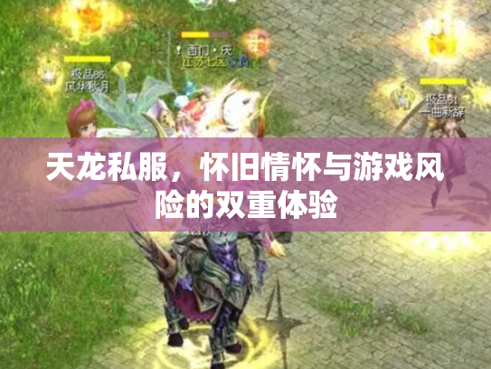 天龙私服，怀旧情怀与游戏风险的双重体验