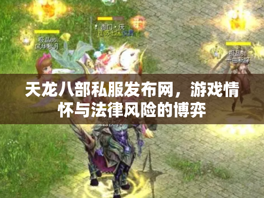 天龙八部私服发布网，游戏情怀与法律风险的博弈
