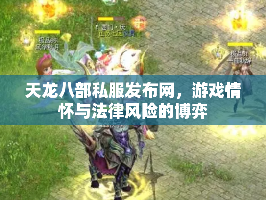 天龙八部私服发布网，游戏情怀与法律风险的博弈