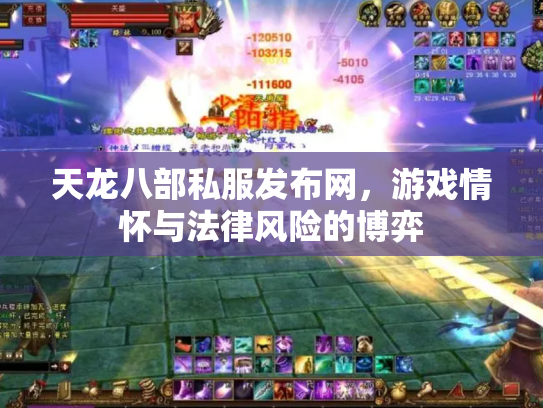 天龙八部私服发布网，游戏情怀与法律风险的博弈
