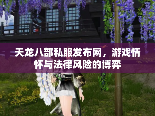 天龙八部私服发布网，游戏情怀与法律风险的博弈