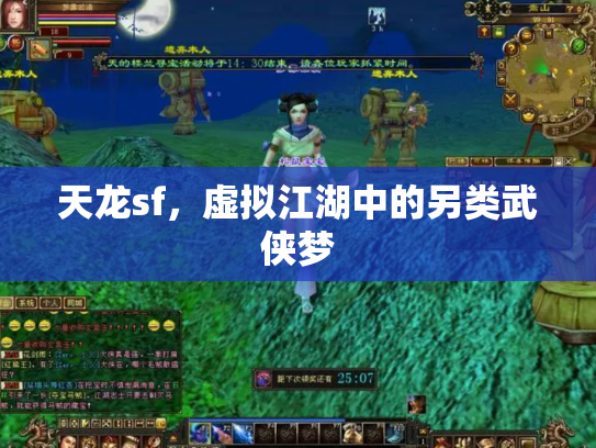 天龙sf，虚拟江湖中的另类武侠梦