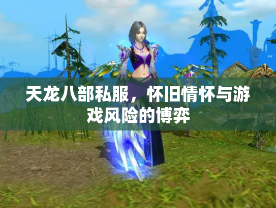 天龙八部私服，怀旧情怀与游戏风险的博弈
