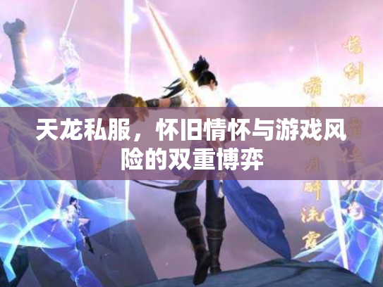 天龙私服，怀旧情怀与游戏风险的双重博弈