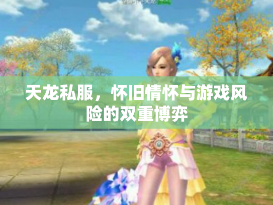 天龙私服，怀旧情怀与游戏风险的双重博弈