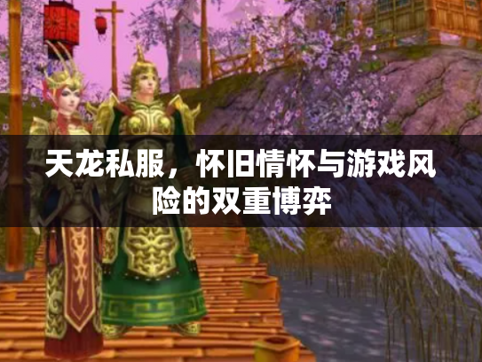 天龙私服，怀旧情怀与游戏风险的双重博弈