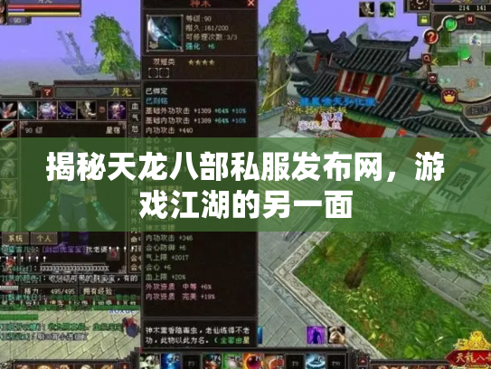 揭秘天龙八部私服发布网，游戏江湖的另一面