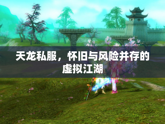 天龙私服，怀旧与风险并存的虚拟江湖