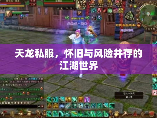 天龙私服，怀旧与风险并存的江湖世界