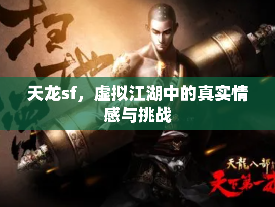 天龙sf，虚拟江湖中的真实情感与挑战