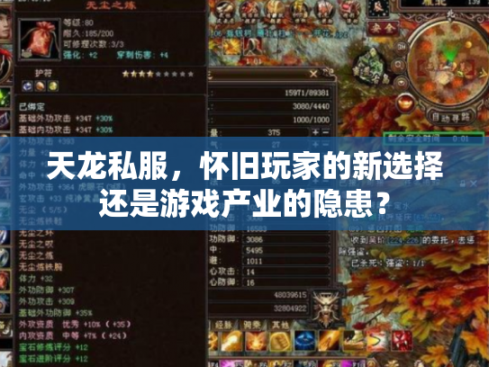 天龙私服，怀旧玩家的新选择还是游戏产业的隐患？