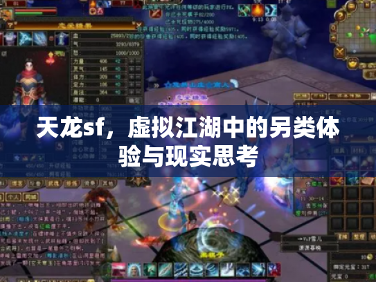 天龙sf，虚拟江湖中的另类体验与现实思考