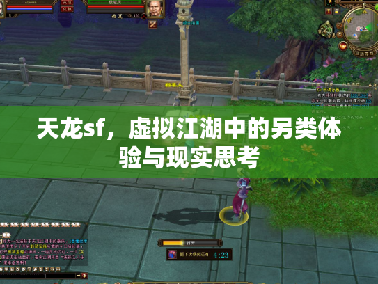 天龙sf，虚拟江湖中的另类体验与现实思考
