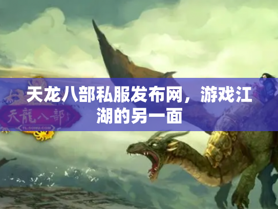 天龙八部私服发布网，游戏江湖的另一面