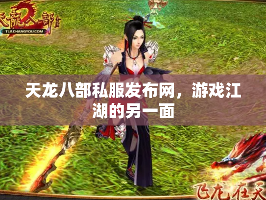 天龙八部私服发布网，游戏江湖的另一面