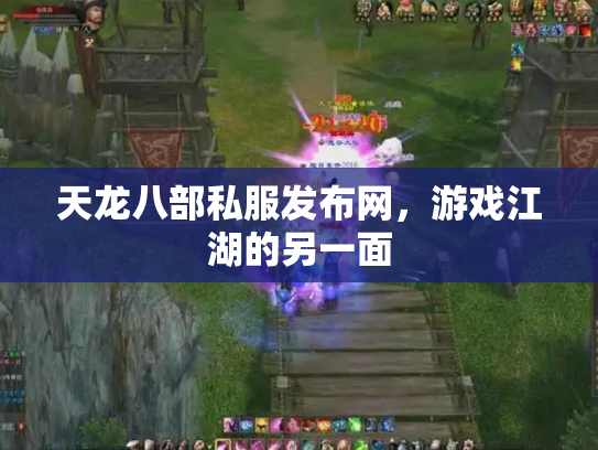 天龙八部私服发布网，游戏江湖的另一面