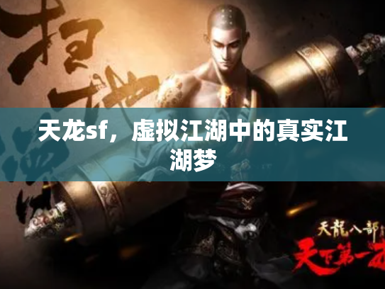 天龙sf，虚拟江湖中的真实江湖梦