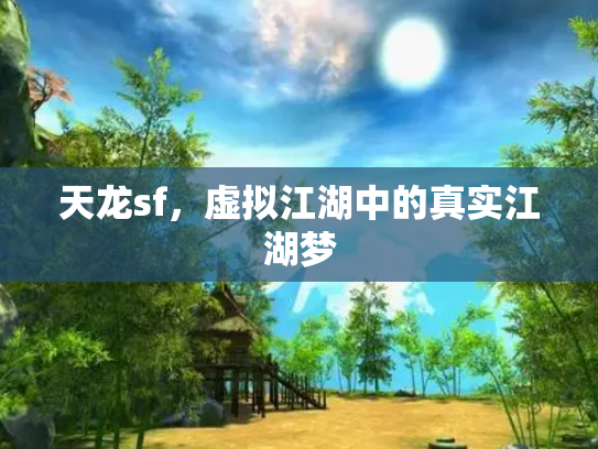 天龙sf，虚拟江湖中的真实江湖梦