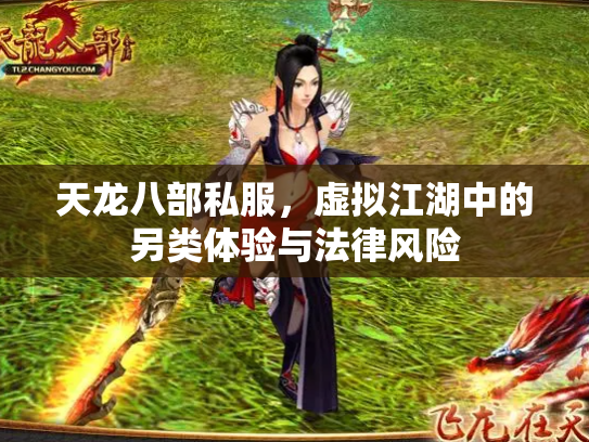 天龙八部私服，虚拟江湖中的另类体验与法律风险