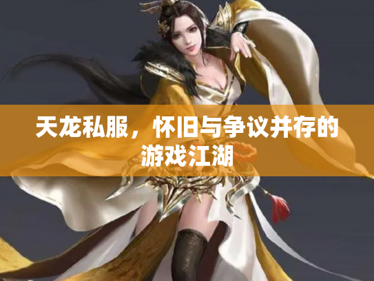 天龙私服，怀旧与争议并存的游戏江湖