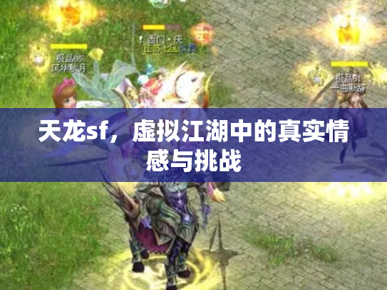 天龙sf，虚拟江湖中的真实情感与挑战