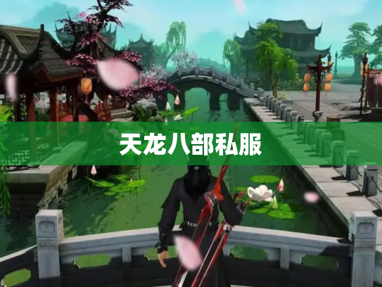 天龙八部私服