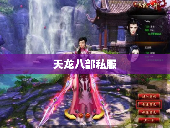 天龙八部私服