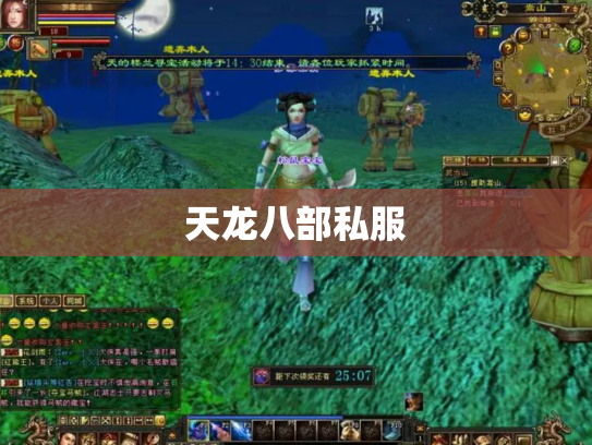 天龙八部私服