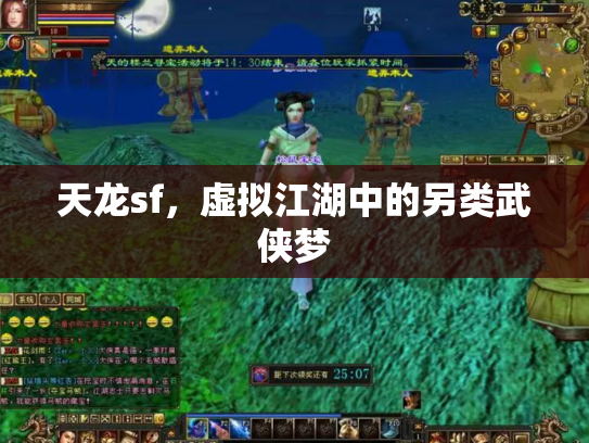 天龙sf，虚拟江湖中的另类武侠梦