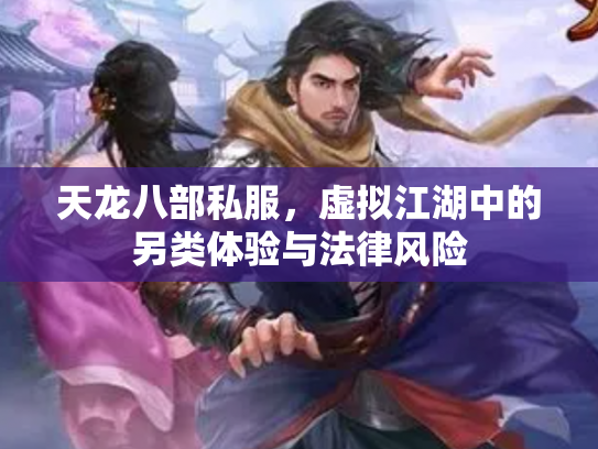 天龙八部私服，虚拟江湖中的另类体验与法律风险