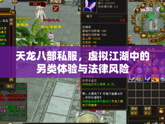 天龙八部私服，虚拟江湖中的另类体验与法律风险