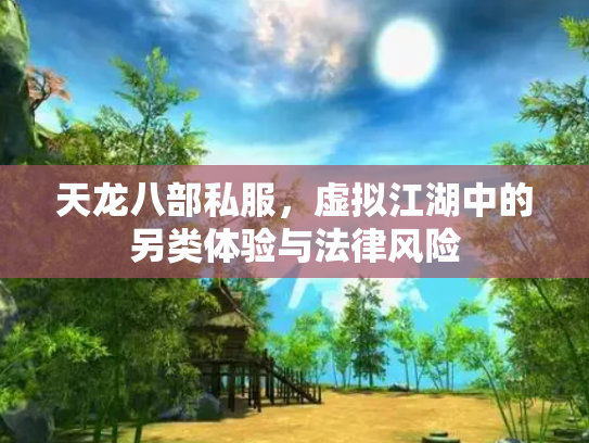 天龙八部私服，虚拟江湖中的另类体验与法律风险