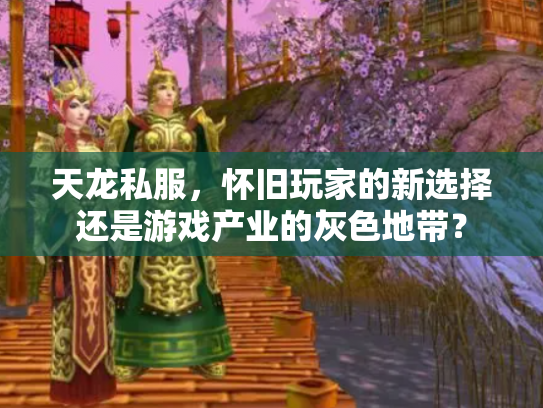 天龙私服，怀旧玩家的新选择还是游戏产业的灰色地带？