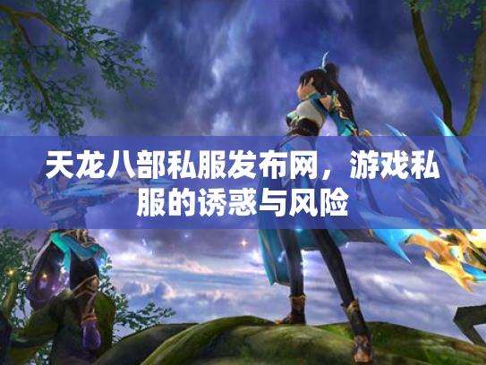 天龙八部私服发布网，游戏私服的诱惑与风险