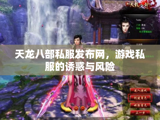 天龙八部私服发布网，游戏私服的诱惑与风险