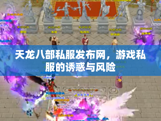 天龙八部私服发布网，游戏私服的诱惑与风险