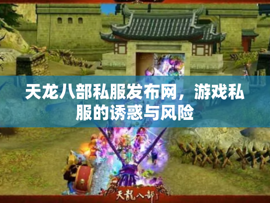 天龙八部私服发布网，游戏私服的诱惑与风险