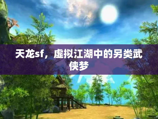 天龙sf，虚拟江湖中的另类武侠梦