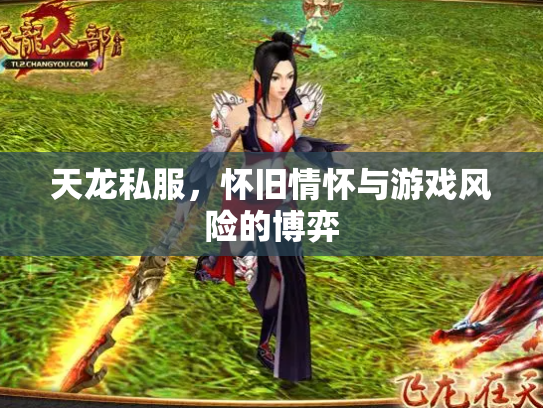 天龙私服，怀旧情怀与游戏风险的博弈