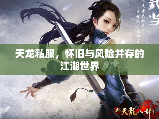 天龙私服，怀旧与风险并存的江湖世界