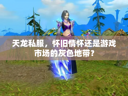 天龙私服，怀旧情怀还是游戏市场的灰色地带？