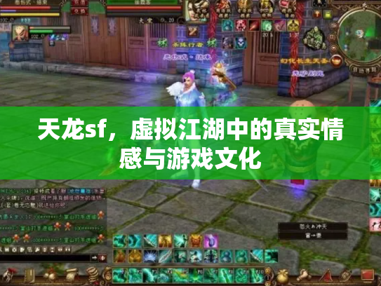 天龙sf，虚拟江湖中的真实情感与游戏文化