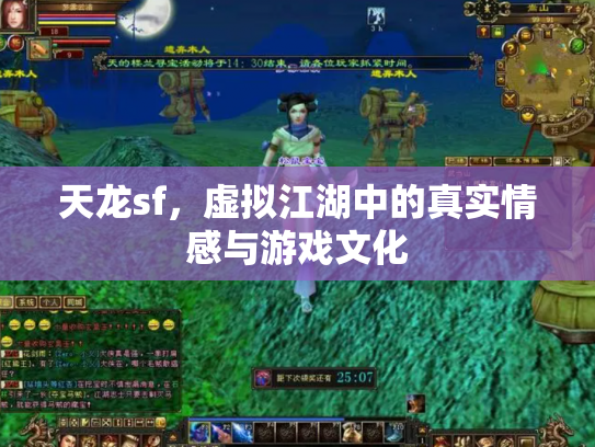 天龙sf，虚拟江湖中的真实情感与游戏文化