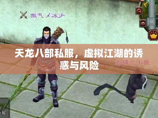 天龙八部私服，虚拟江湖的诱惑与风险