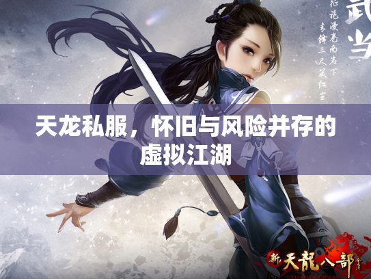 天龙私服，怀旧与风险并存的虚拟江湖