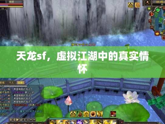 天龙sf，虚拟江湖中的真实情怀