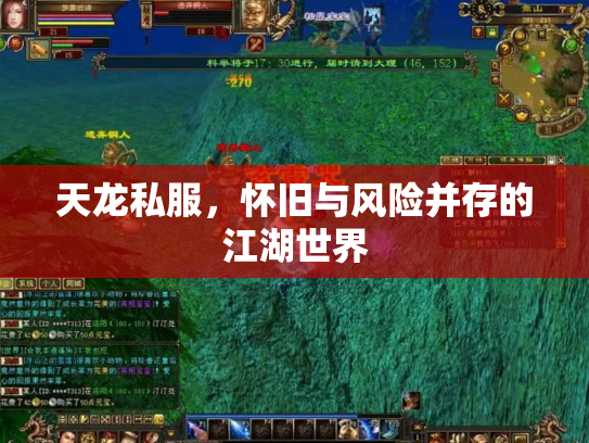 天龙私服，怀旧与风险并存的江湖世界