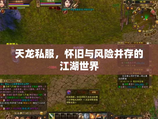 天龙私服，怀旧与风险并存的江湖世界